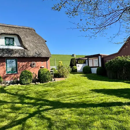 Friesenhus Holiday home *